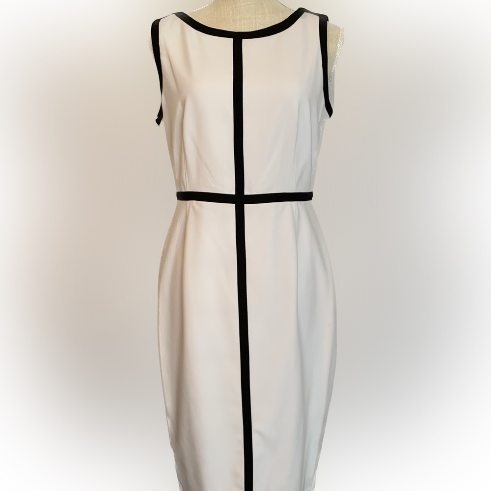 Calvin Klein Sheath Size 6